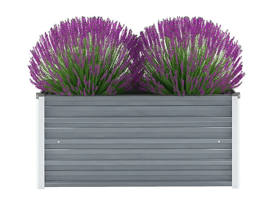 Lit surélevé de jardin Acier galvanisé 100x40x45 cm Gris