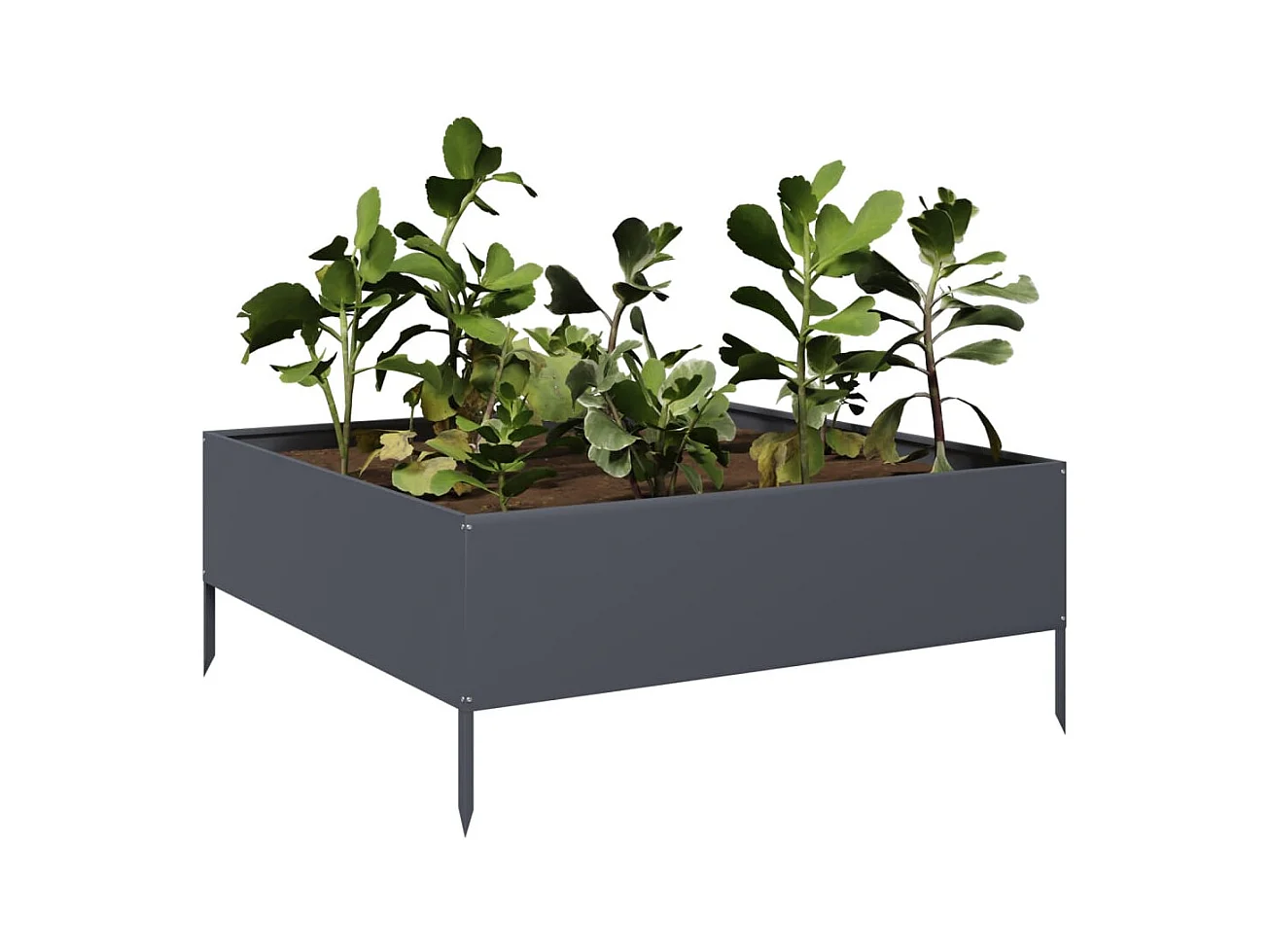 Letto rialzato antracite 100x100x25 cm in acciaio