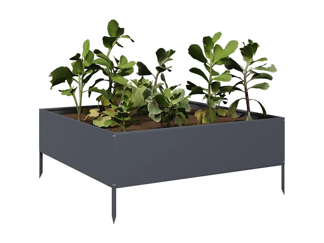 Bancal elevado antracita 100x100x25 cm acero