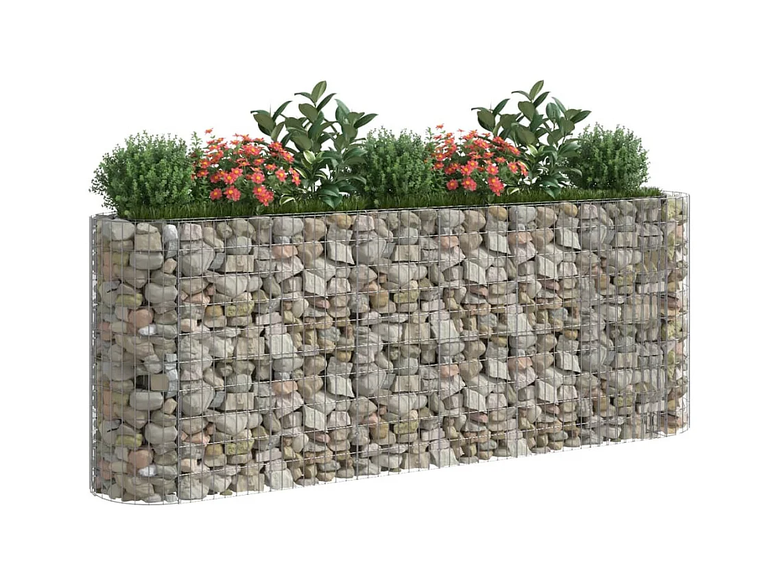 Gabion verhoogde bak Gegalvaniseerd ijzer 260x50x100 cm