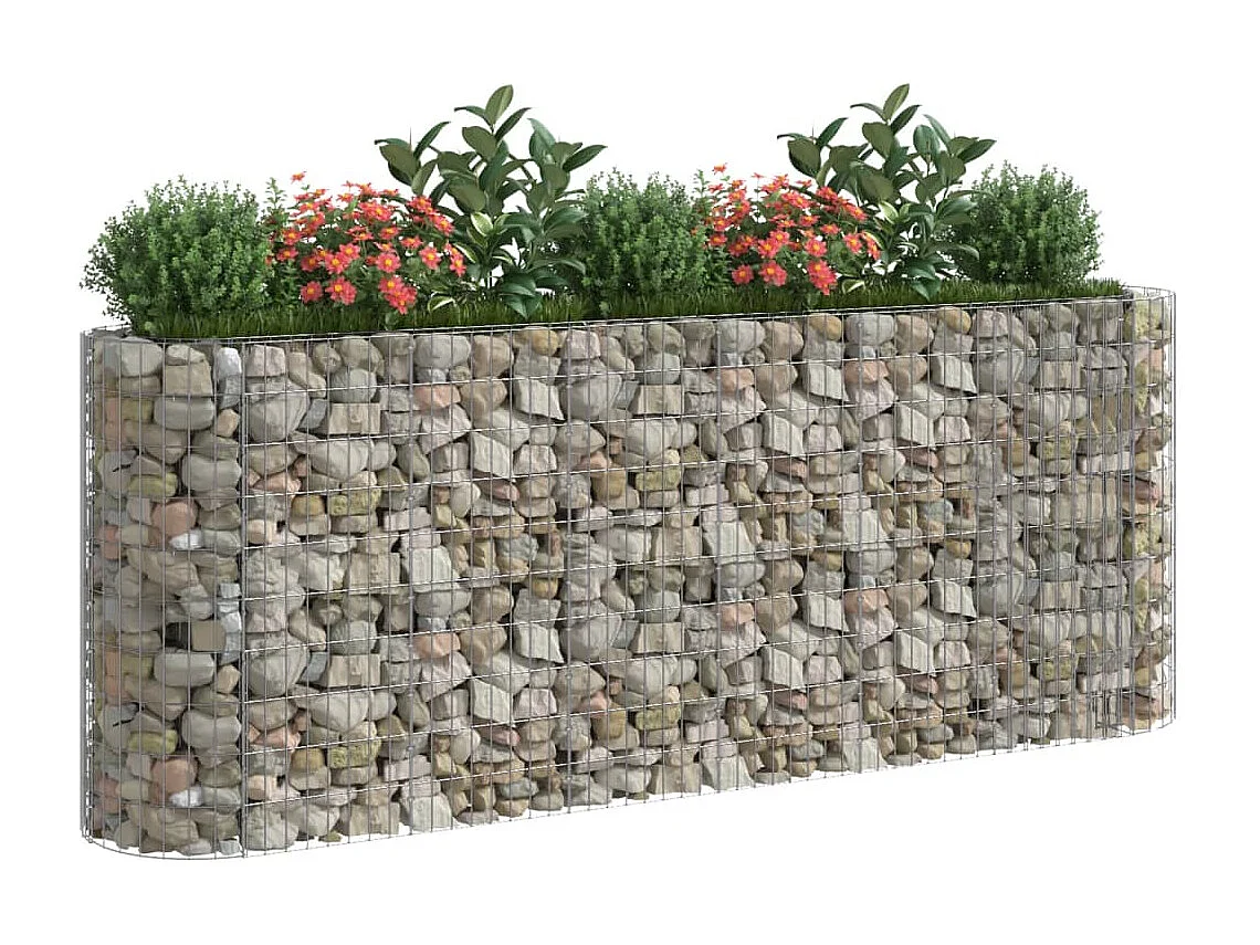 Lit surélevé à gabion Fer galvanisé 260x50x100 cm