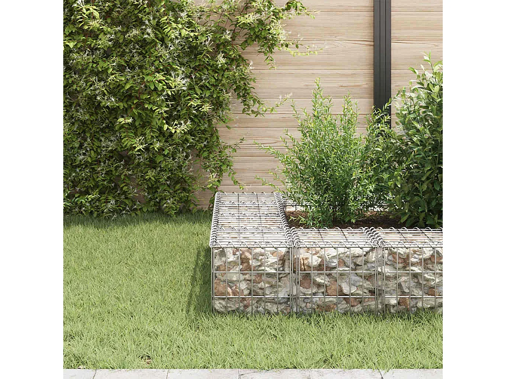 Lit surélevé cube à gabion Fil d'acier 30x30x30 cm