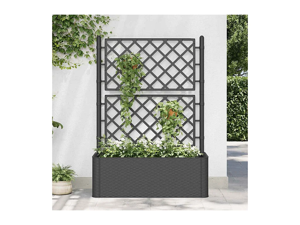 Lit surélevé de jardin treillis système d'arrosage Anthracite