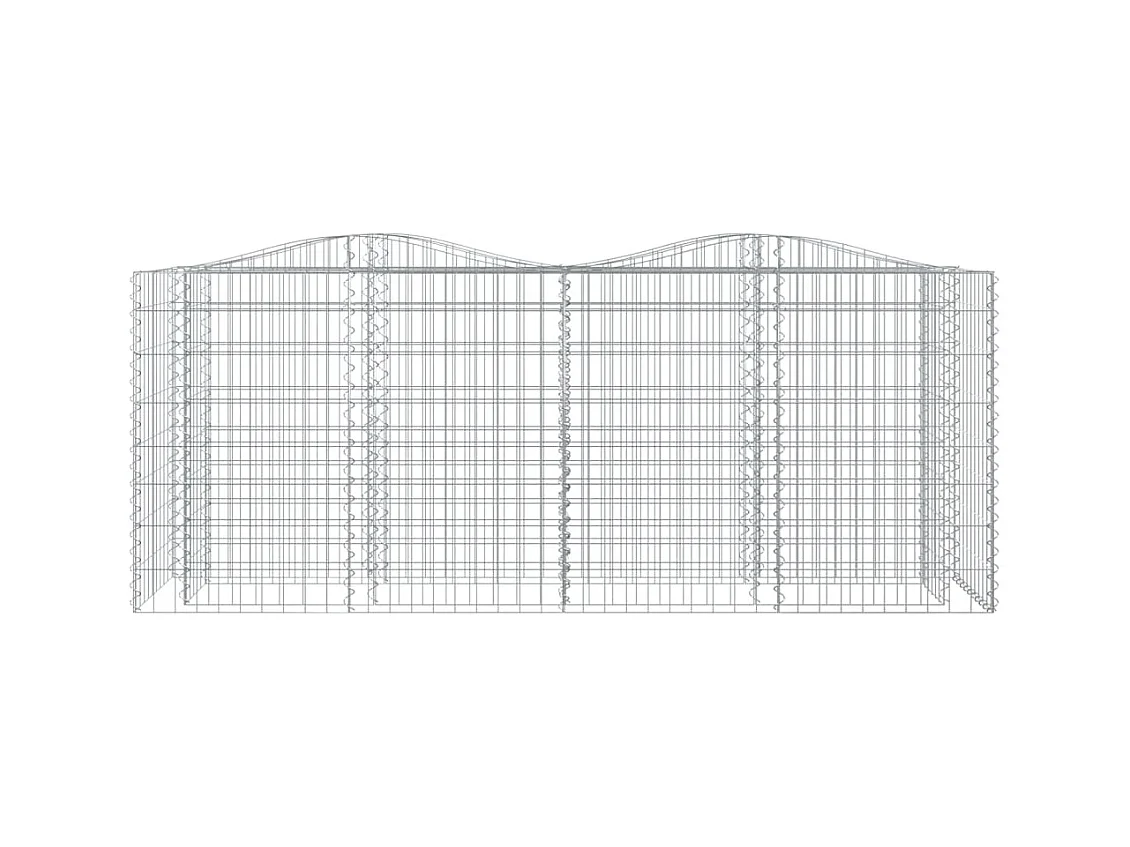 Verhoogde booggabionbak 200x50x100 cm gegalvaniseerd ijzer