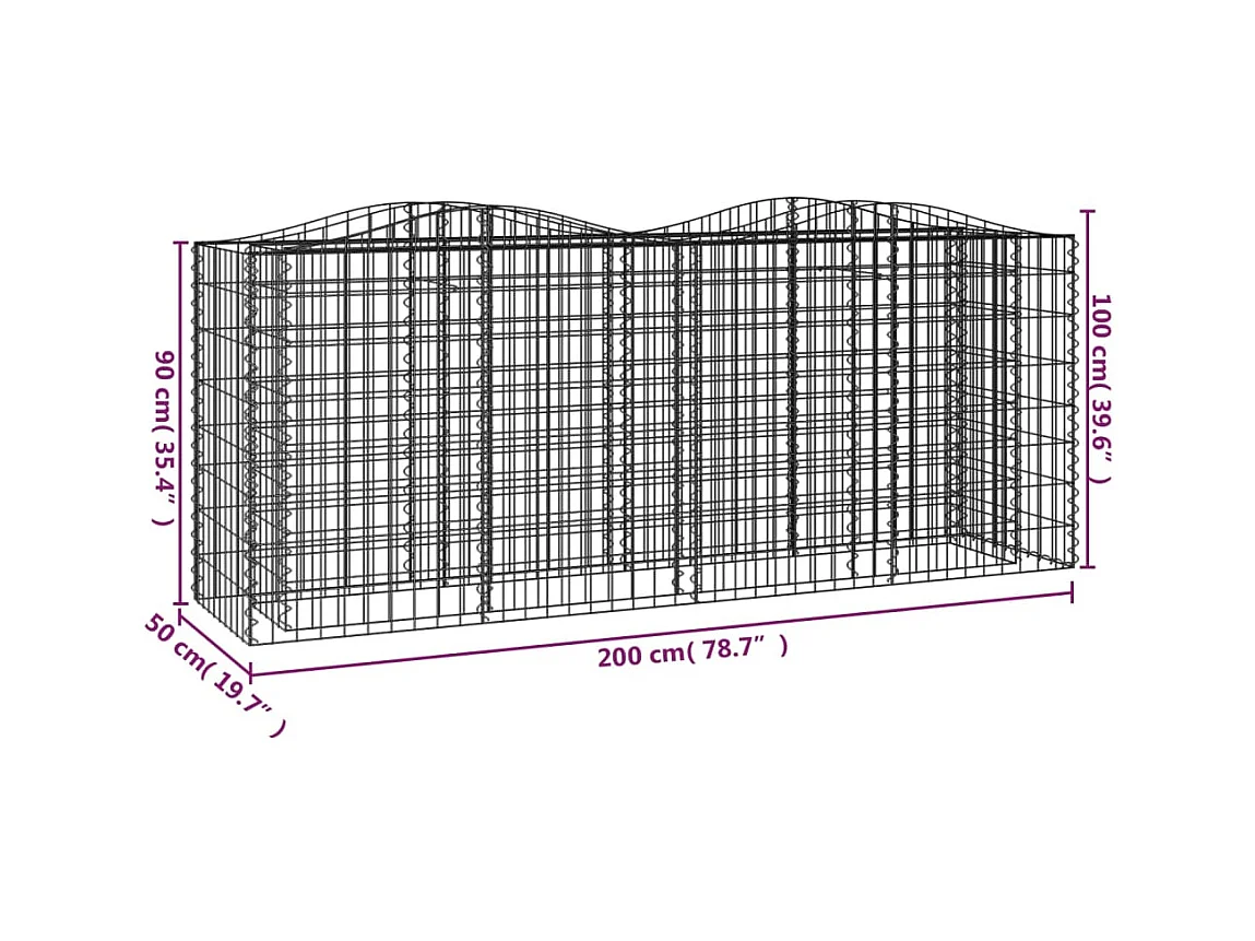 Verhoogde booggabionbak 200x50x100 cm gegalvaniseerd ijzer