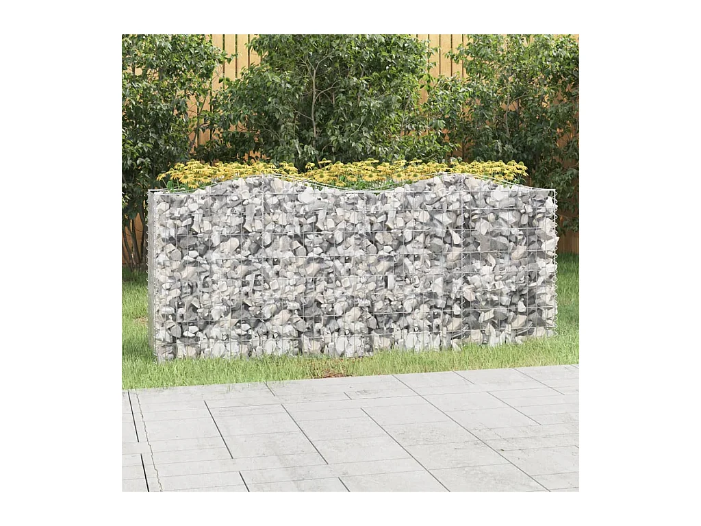 Lit surélevé à gabions arqué 200x50x100 cm Fer galvanisé