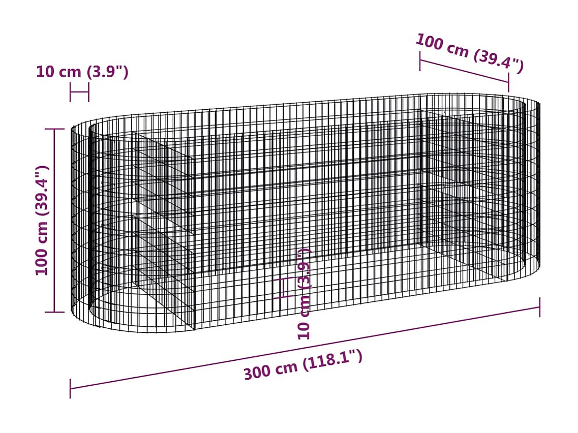 Gabion verhoogde bak Gegalvaniseerd ijzer 300x100x100 cm