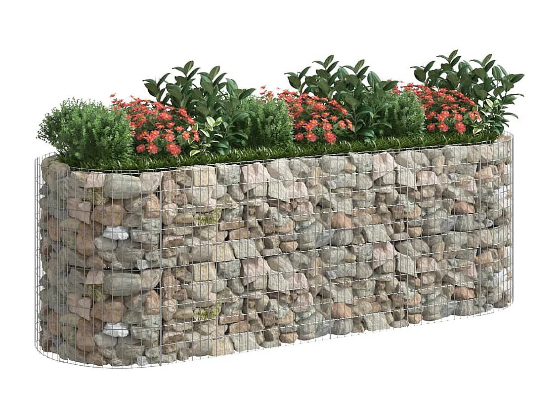 Lit surélevé à gabion Fer galvanisé 300x100x100 cm