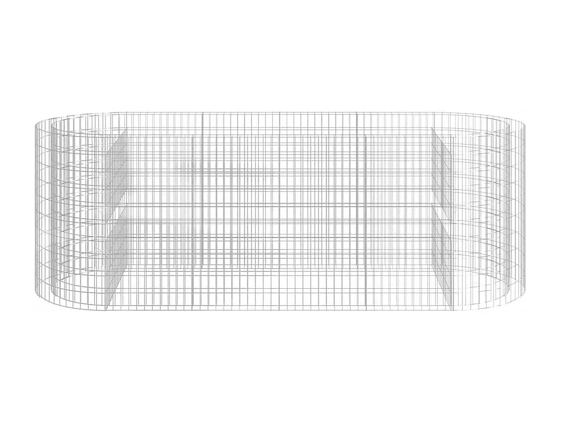 Lit surélevé à gabion Fer galvanisé 300x100x100 cm