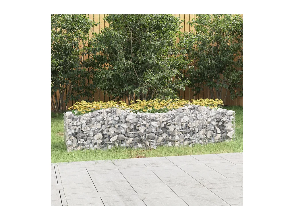 Verhoogde booggabionbak 200x50x50 cm gegalvaniseerd ijzer