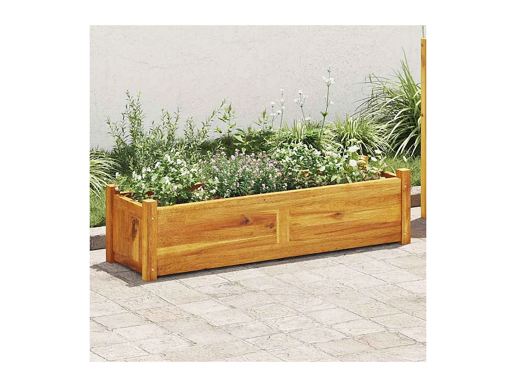 Lit surélevé de jardin Bois d'acacia 100x30x25 cm