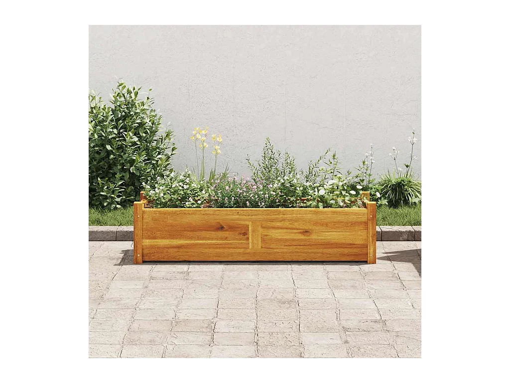 Lit surélevé de jardin Bois d'acacia 100x30x25 cm