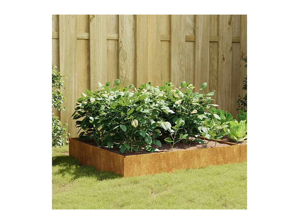 Lit surélevé de jardin 100x100x33,5 cm acier corten