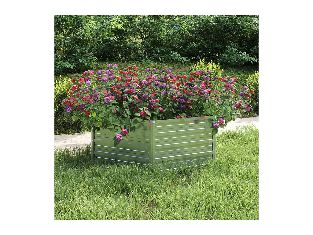 Lit surélevé de jardin 129x45 cm Acier galvanisé Argenté