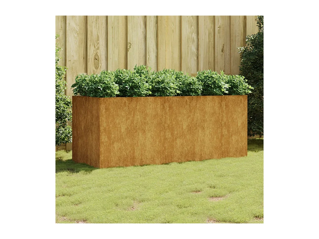 Lit surélevé de jardin 200x80x80 cm acier corten