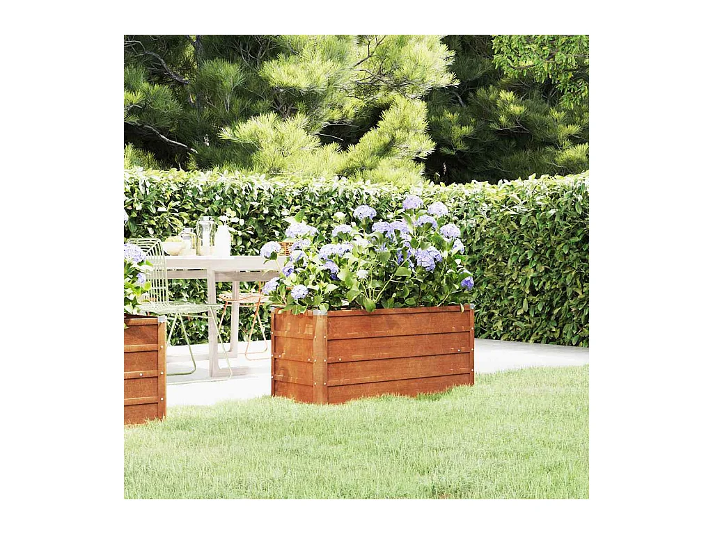 Lit surélevé de jardin rouillé 100x40x45 cm acier corten