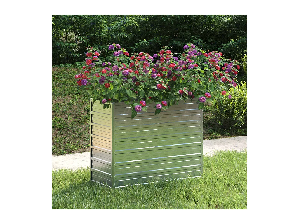 Lit surélevé de jardin 100x40x77 cm Acier galvanisé Argenté