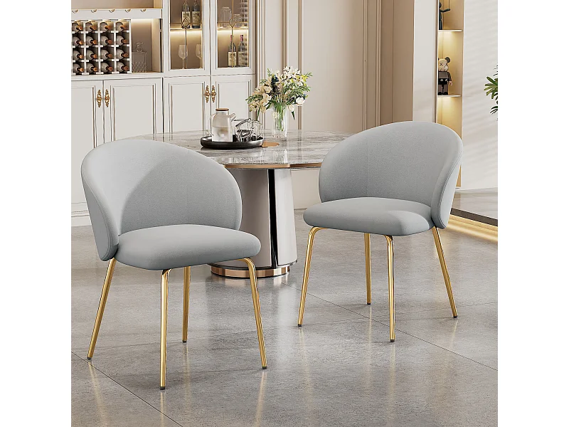 Set van 2 elegante eetkamerstoelen met armleuningen, fluwelen bekleding, gouden metalen poten, grijs (56x56x76 cm)