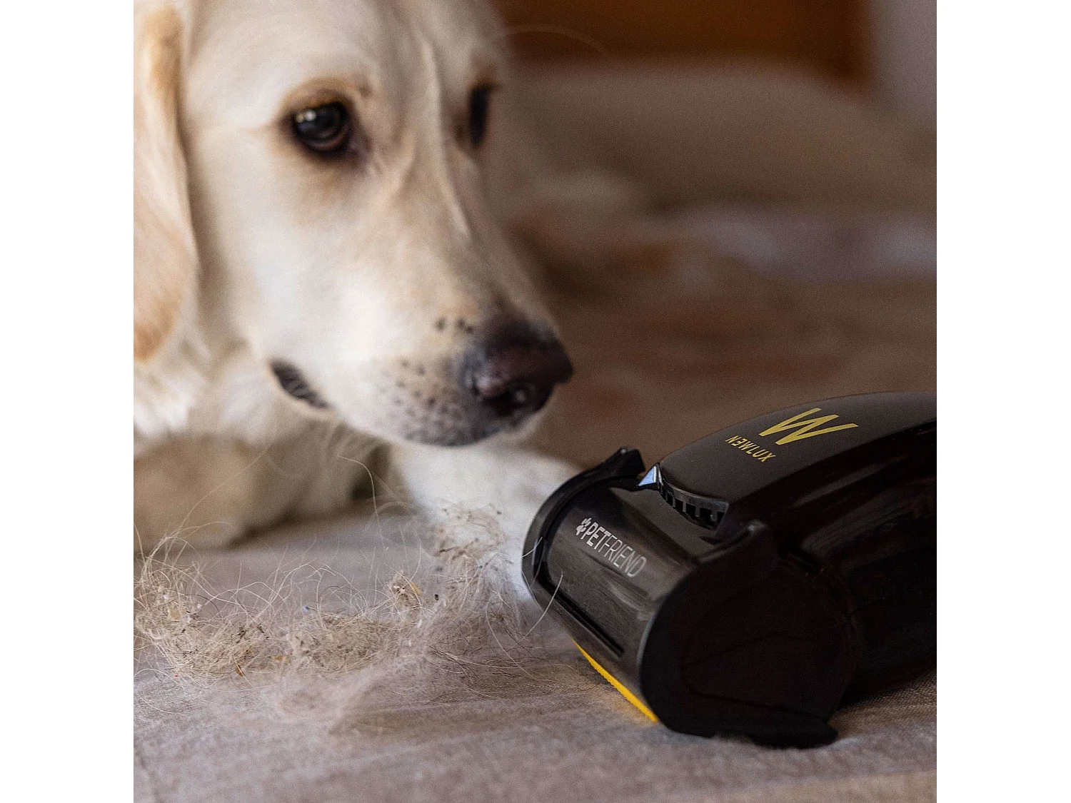 Aspirador Escoba  InfinityPower V900 Petfriend Negro - Newlux