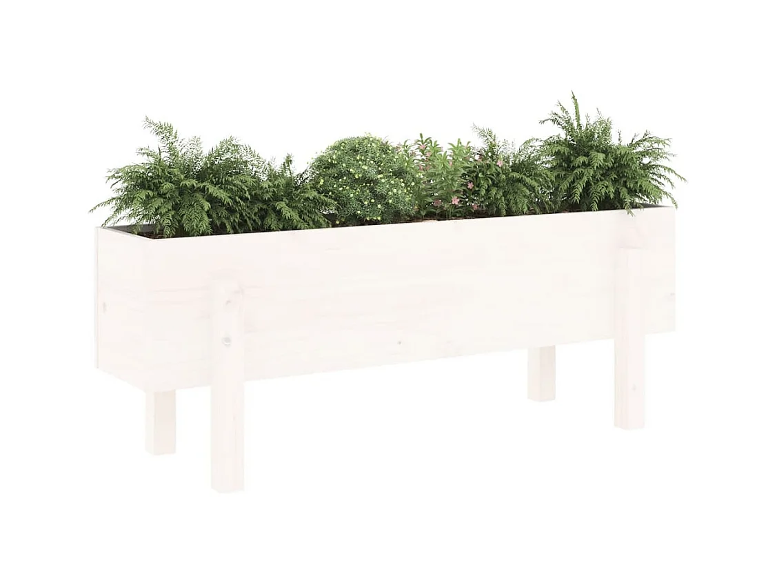 Lit surélevé de jardin blanc 101x30x38 cm bois de pin massif