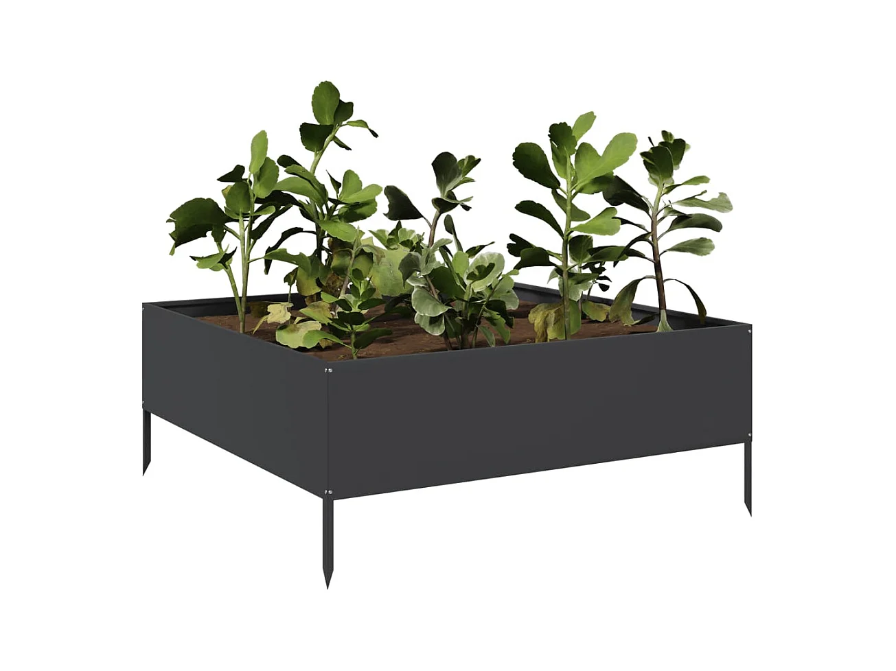 Lit surélevé de jardin noir 100x100x25 cm acier