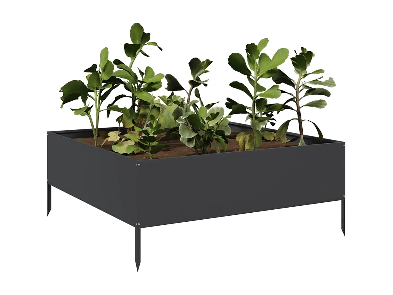 Letto da giardino rialzato nero 100x100x25 cm in acciaio