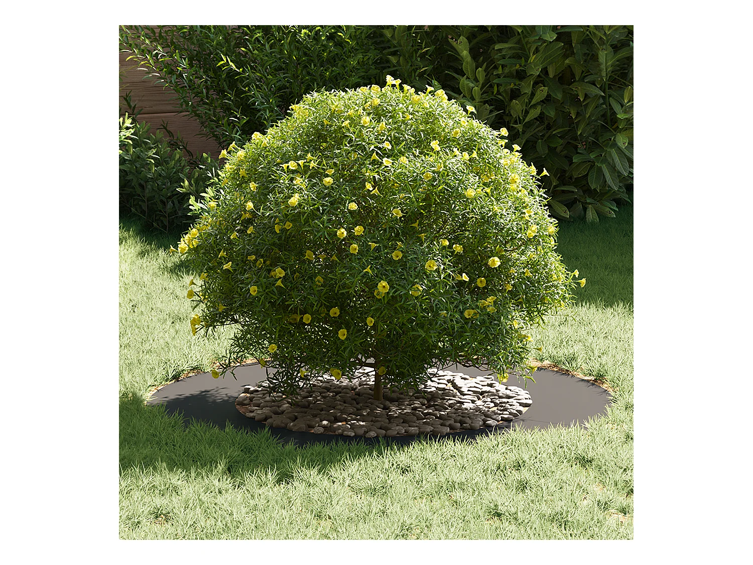 Pot de Fleurs en Plastique Noir Plastique Grand Rond Moderne