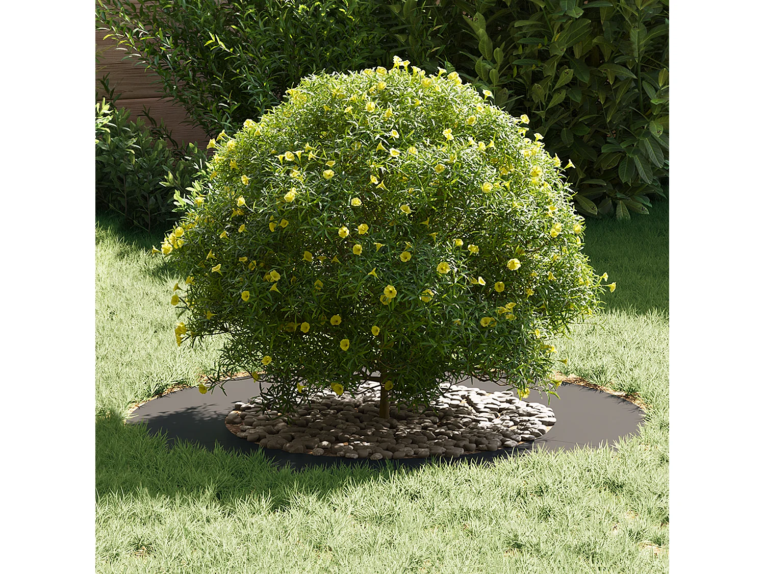 Pot de Fleurs en Plastique Noir Plastique Grand Rond Moderne