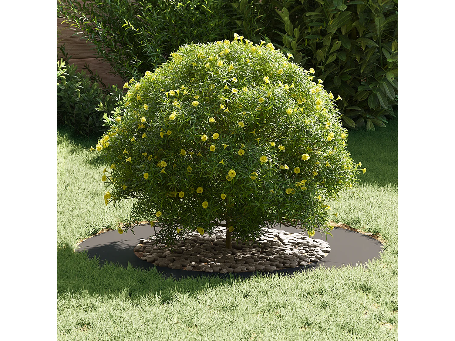 Pot de Fleurs en Plastique Noir Plastique Grand Rond Moderne