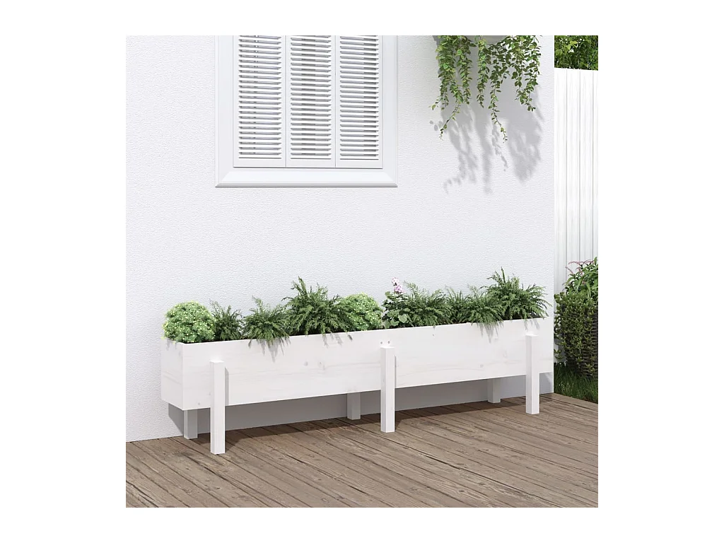 Lit surélevé de jardin blanc 160x30x38 cm bois de pin massif