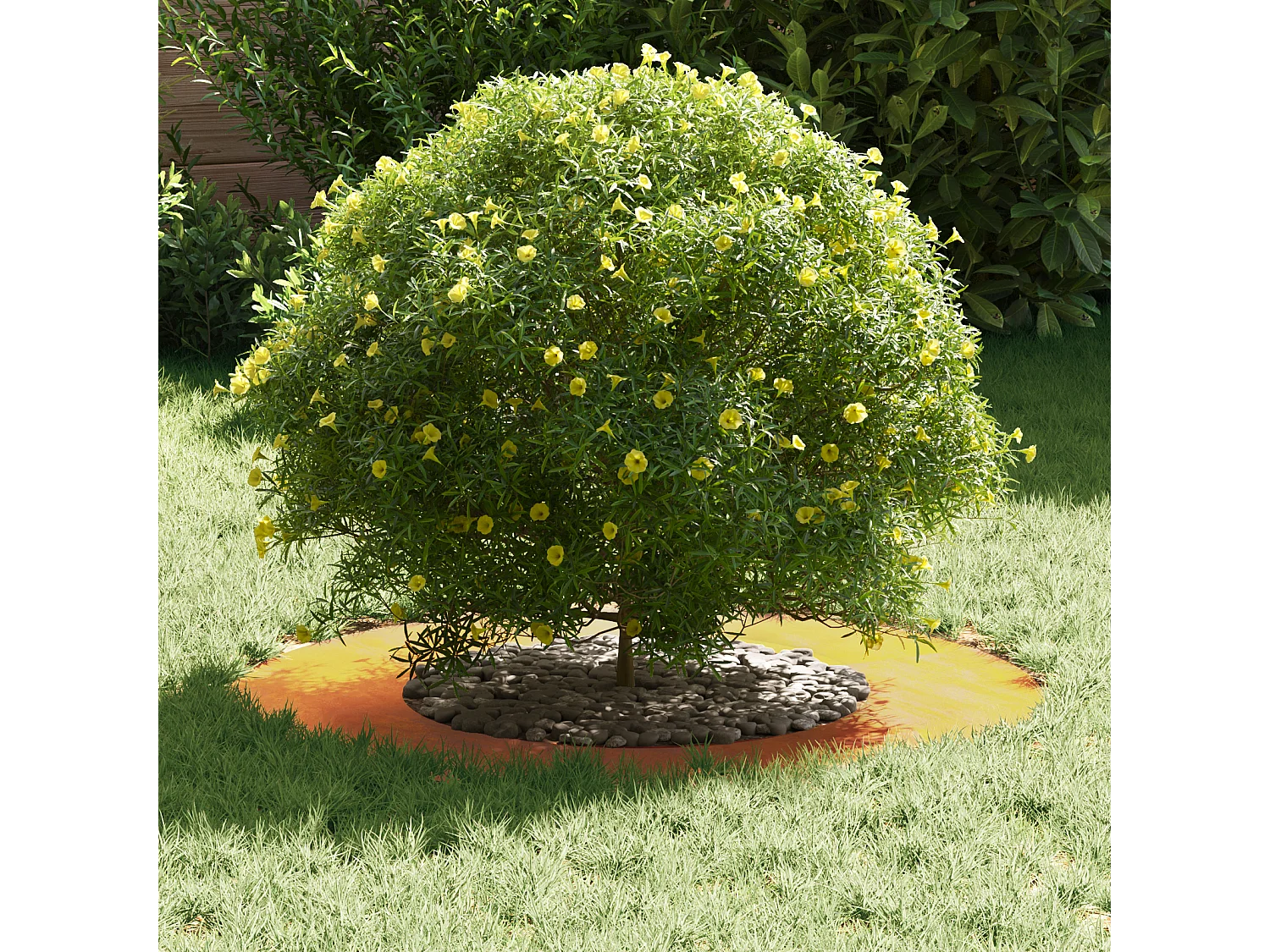 Bac à fleurs en acier corten Acier corten Moyen