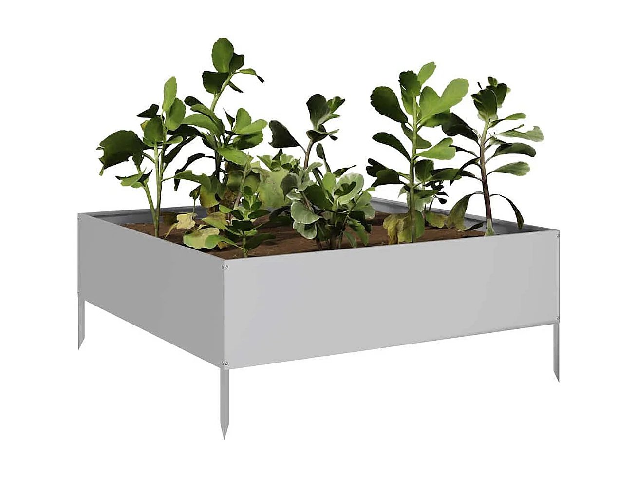 Verhoogd tuinbed 100x100x25 cm roestvrij staal