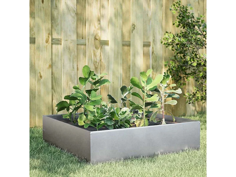 Lit surélevé de jardin 100x100x25 cm acier inoxydable