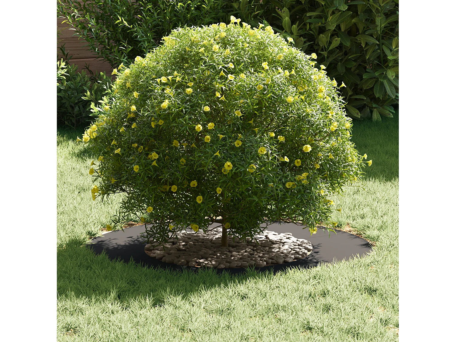 Anneau de Pot en Métal Noir 70 cm de diamètre