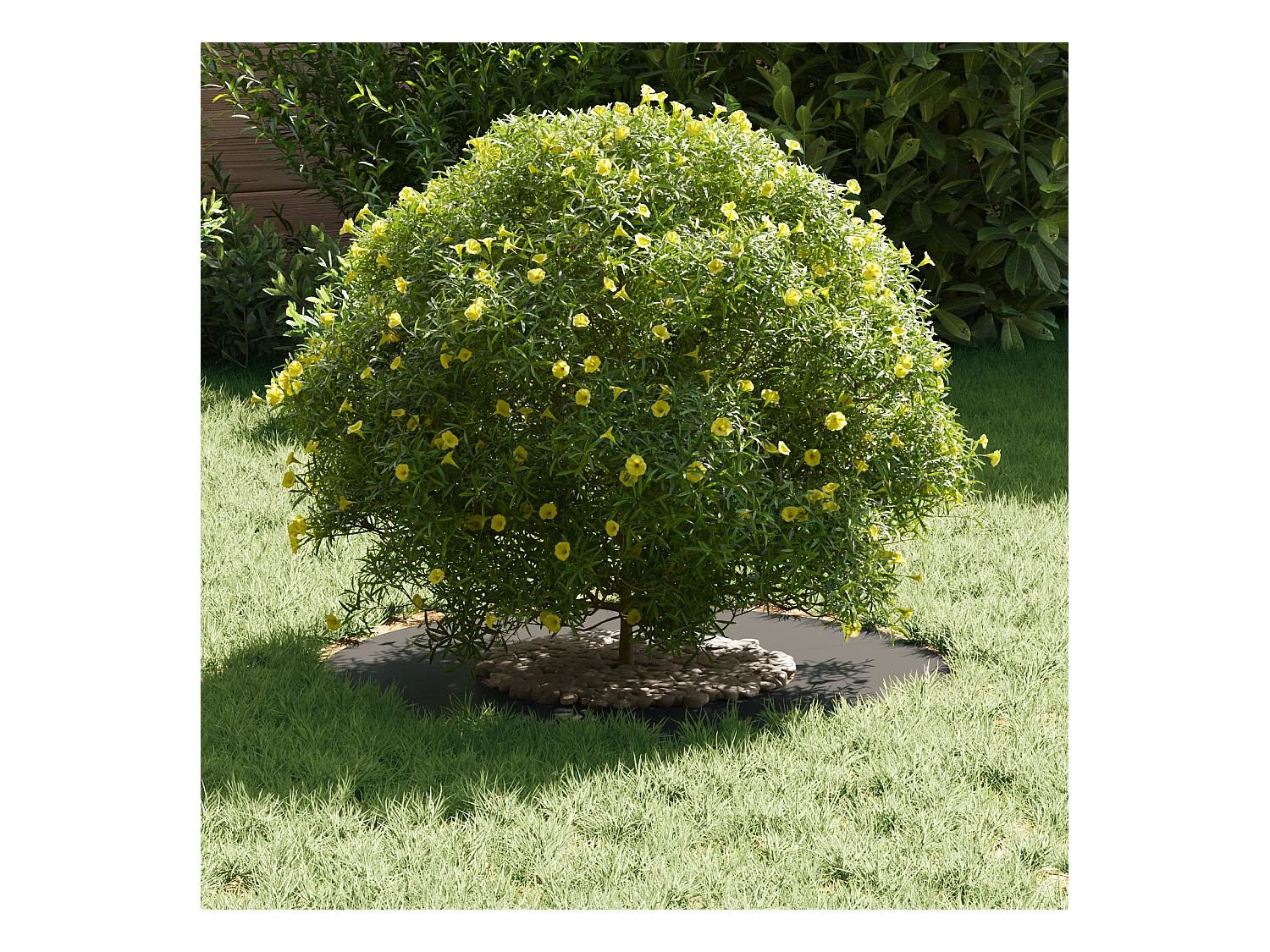 Macetas de plástico negras medianas apilables de plástico