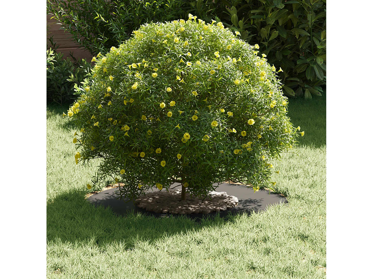 Pots en plastique Noir Plastique Moyen Empilable