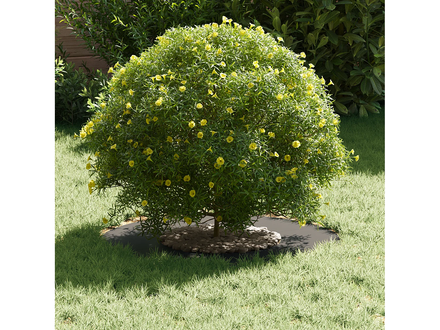 Schwarze Kunststofftöpfe, mittelgroß, stapelbar, Kunststoff