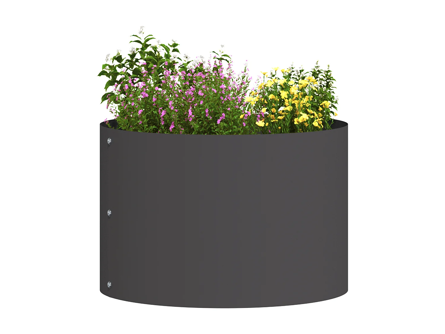 Pots en plastique noirs Noir Plastique Moyen Durable