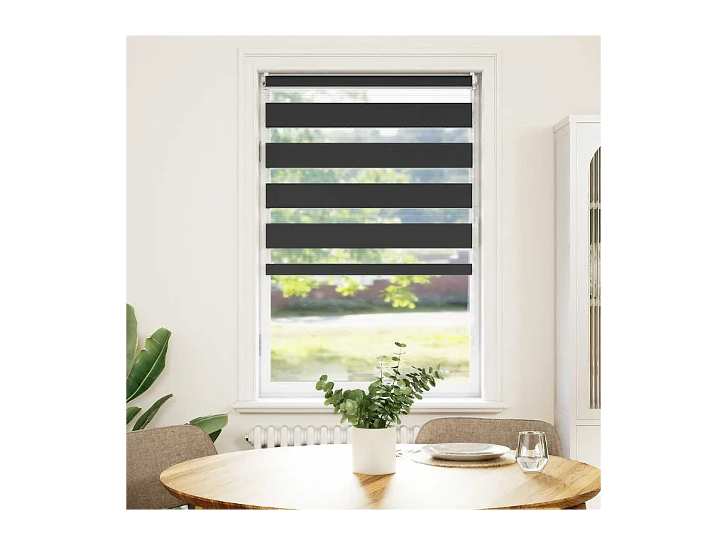 Store enrouleur tamisant 50 x 100 cm noir