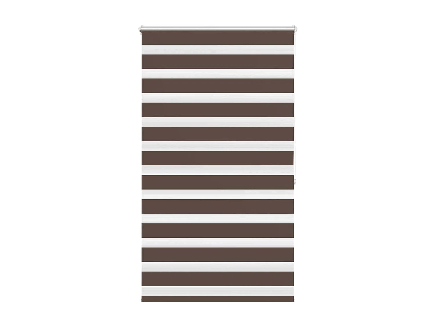 Estor enrollable marrón de 80 x 175 cm