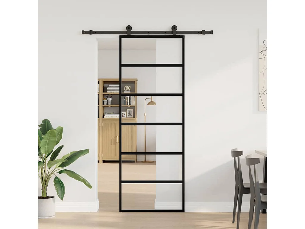 Schiebetür mit Beschlagsatz 76x205 cm ESG Glas