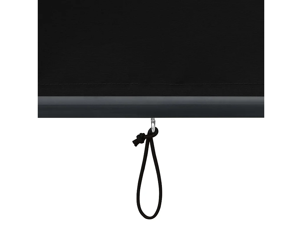 Store roulant d'extérieur 140 x 250 cm Anthracite
