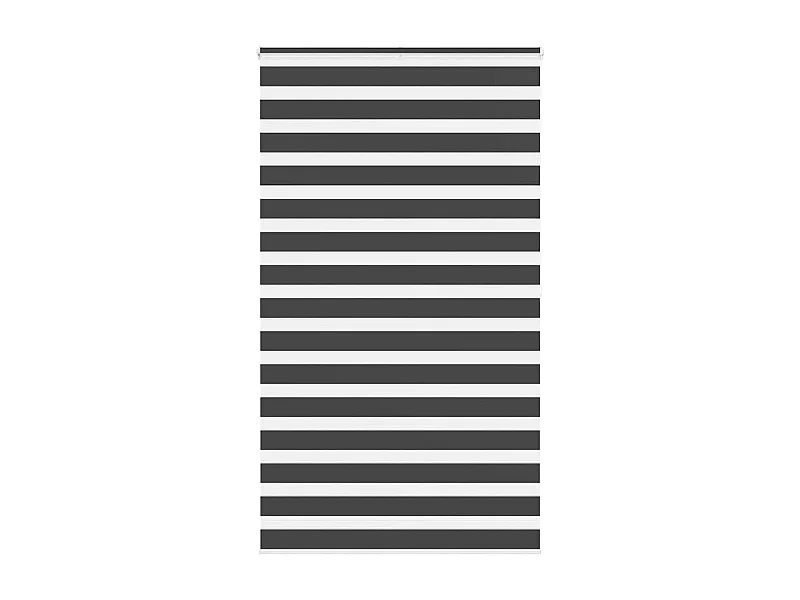 Zwarte zebragordijn 125x200 cm stofbreedte 120,9 cm polyester