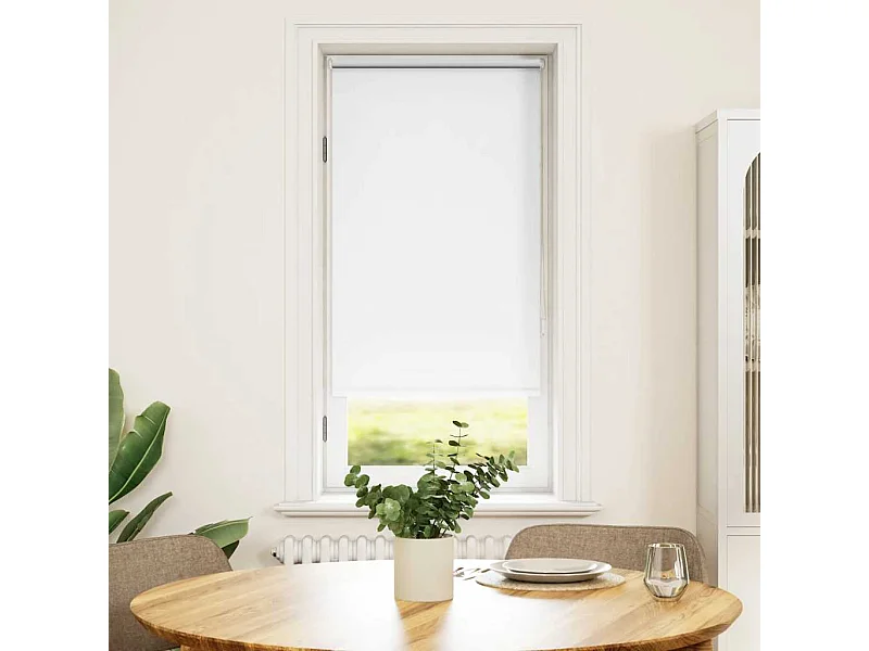 Estor enrollable opaco blanco 60 x 120 cm