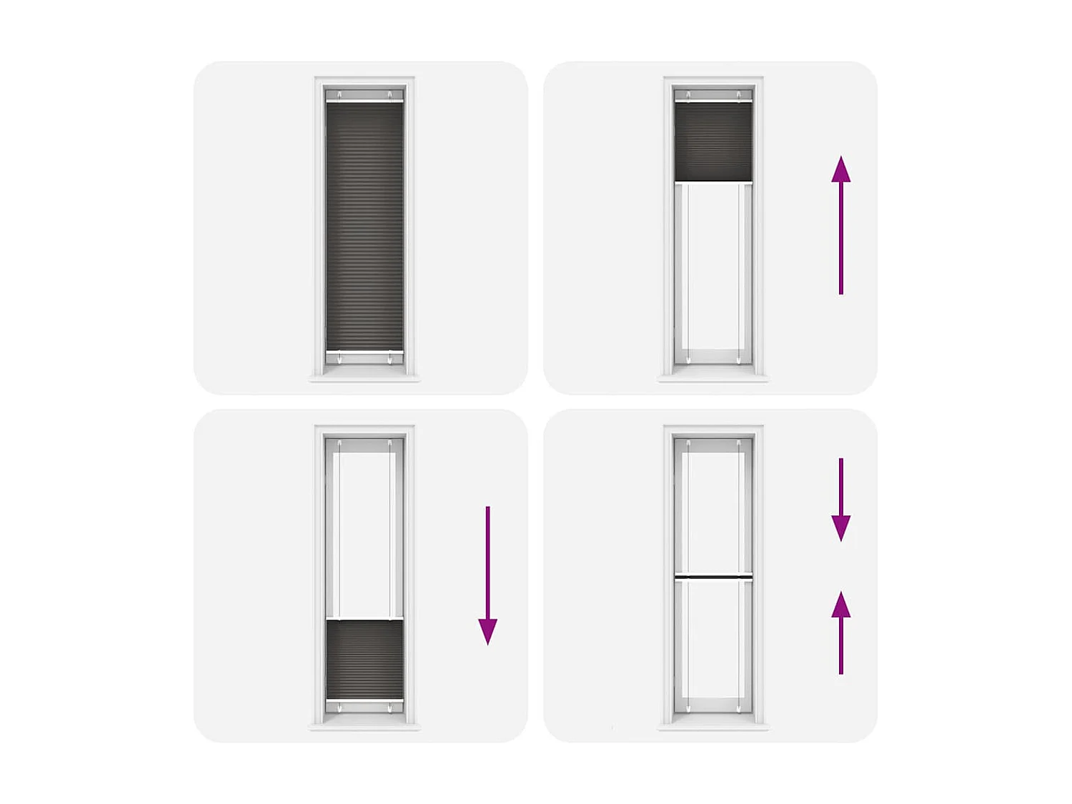 Estor plisado negro 55x200 cm ancho tela 54,4 cm poliéster