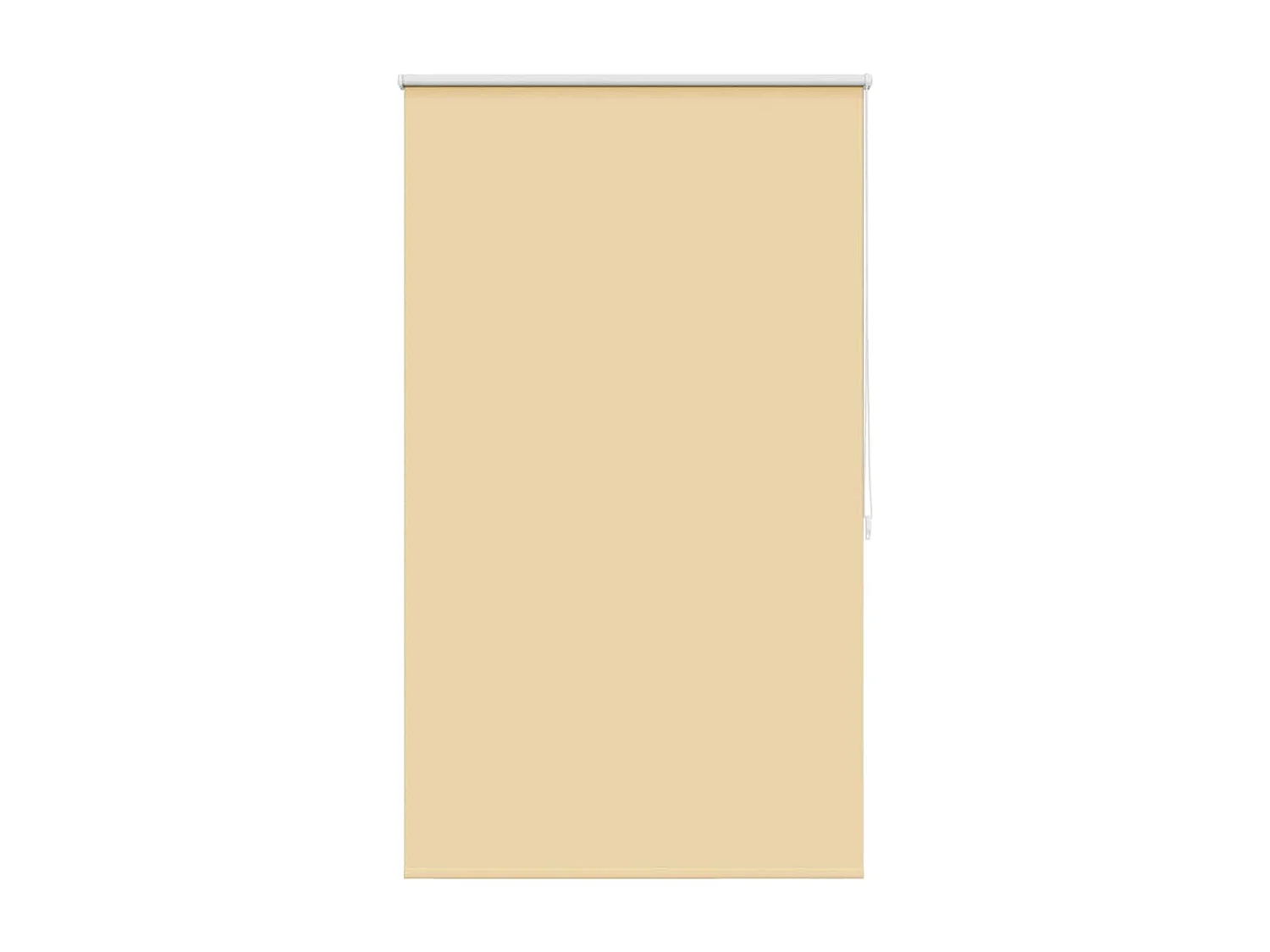 Rolgordijn 100 x 175 cm Beige