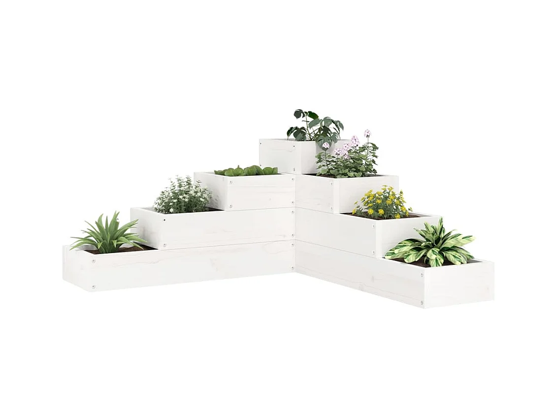 Jardinière 4 niveaux 80,5x79x36 cm blanc bois de pin massif