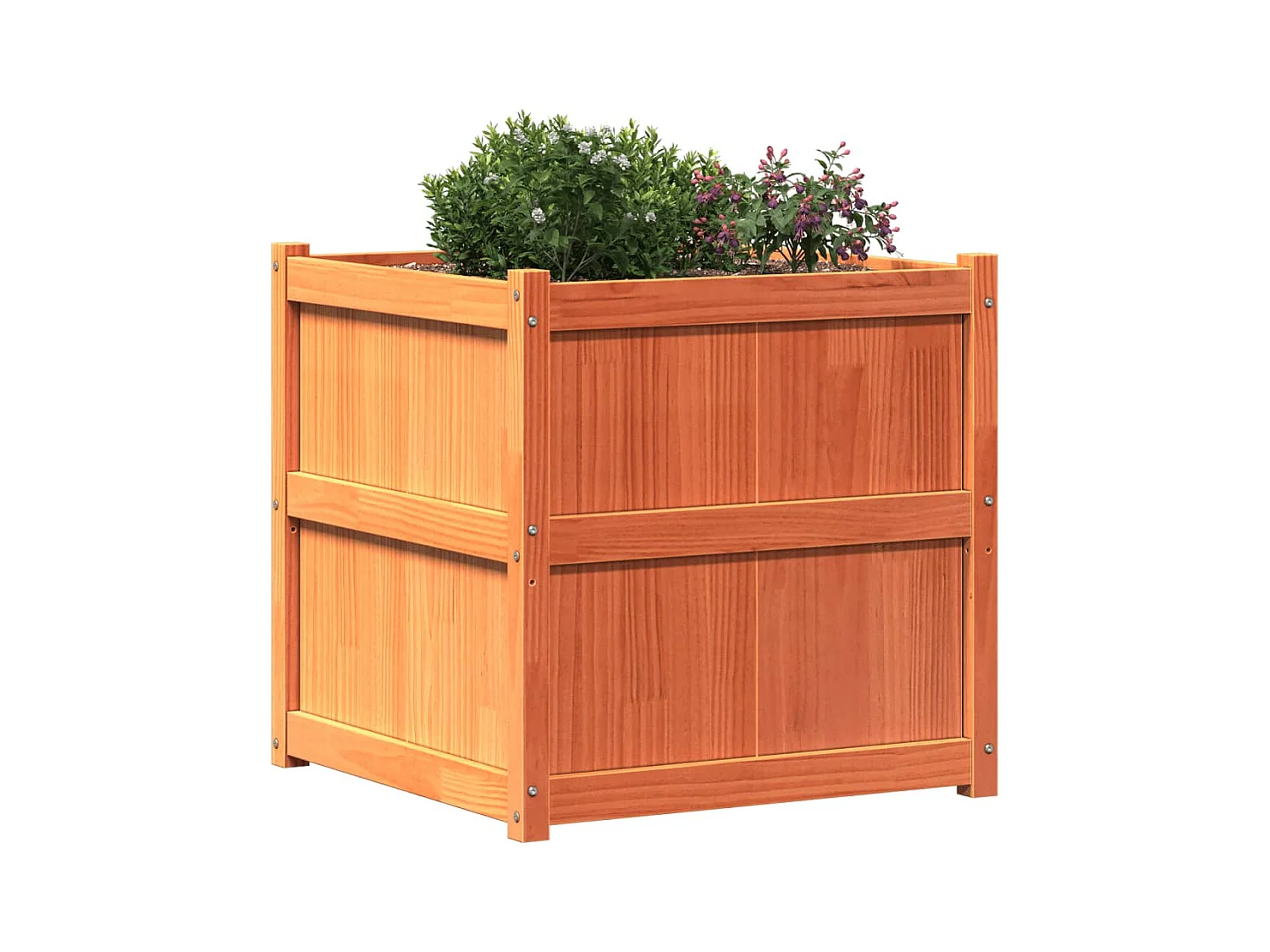 Fioriera in cera marrone 70x70x70 cm in legno massello di pino