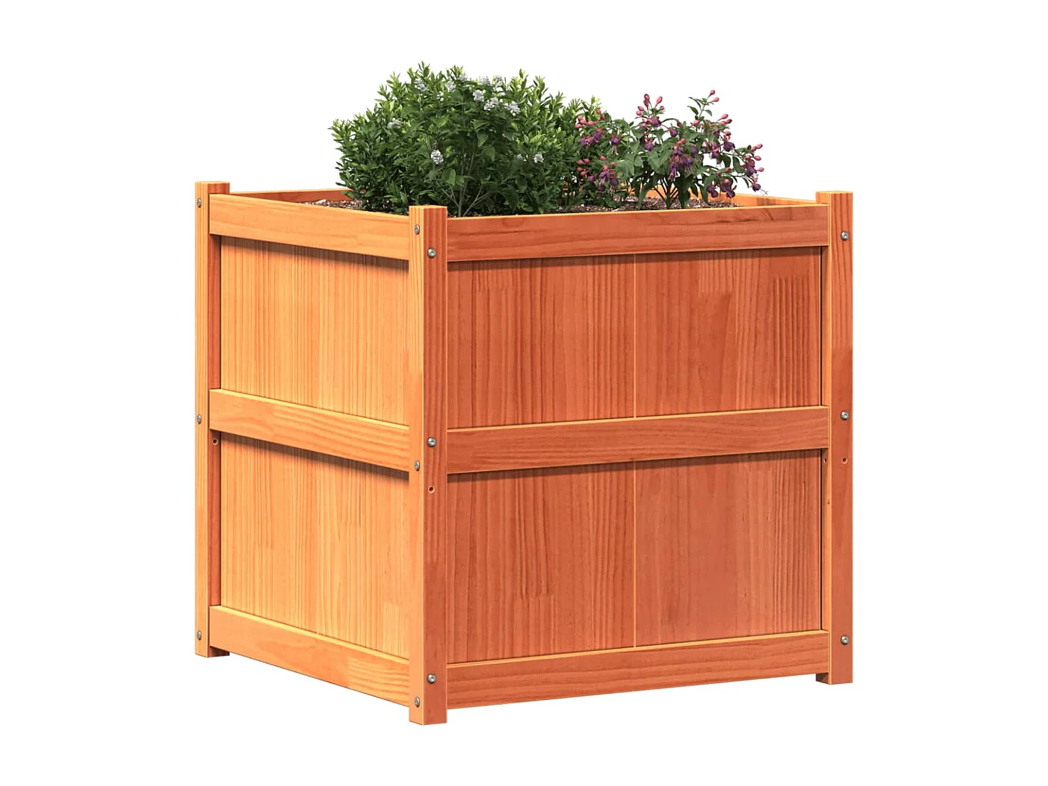 Brauner Wachspflanzer 70x70x70 cm massives Kiefernholz