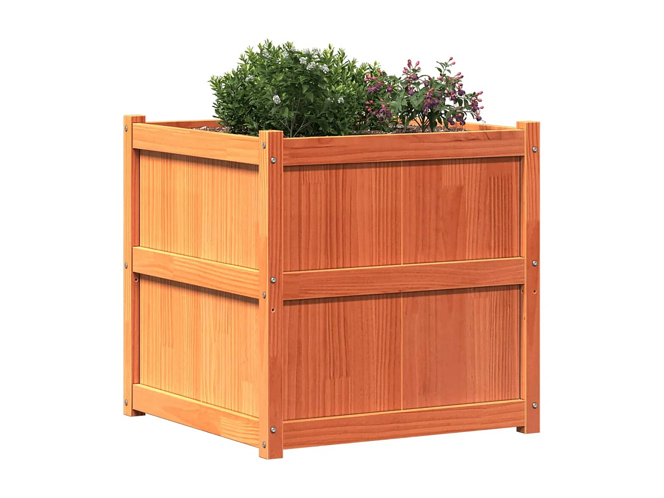 Brauner Wachspflanzer 70x70x70 cm massives Kiefernholz